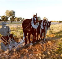 Pastoral Shadows of Brookong - Winery Find