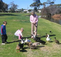 Roy Little Park Merredin - Winery Find