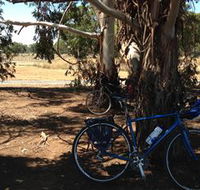 Murchison Rail Trail - Winery Find