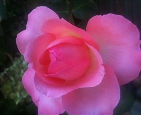 Abandon Stress Mobile Massage - Winery Find 2