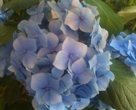 Abandon Stress Mobile Massage - Winery Find 3