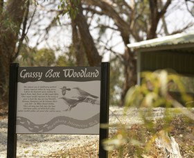 Coolamon NSW Winery Find