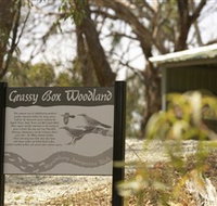 Kindra Forest - Winery Find