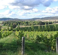 Sassy Wines - Winery Find