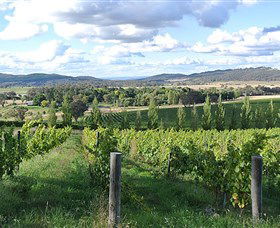 Sassy Wines - Winery Find 0