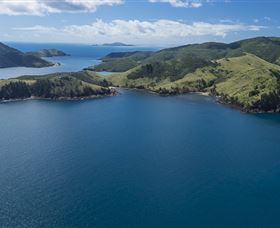 Fishing On Keswick Island - Winery Find 1