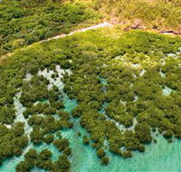 The Singapore Shipwreck Dive Site - Keswick Island - Winery Find