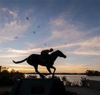 Black Caviar Statue - Winery Find