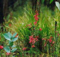 Enfield State Park - Winery Find