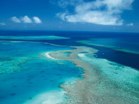 Fairey Reef - Winery Find 2