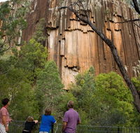 Sawn Rocks walking track - Winery Find