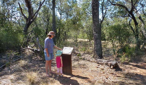 Deriah Aboriginal Information Bay - Winery Find 1