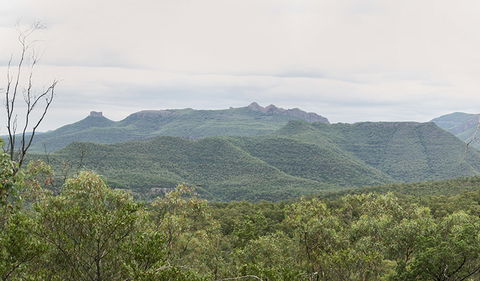 Deriah Aboriginal Information Bay - Winery Find 3