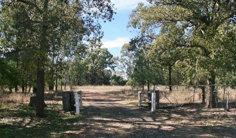 Terry Hie Hie Aboriginal Area - Winery Find 2