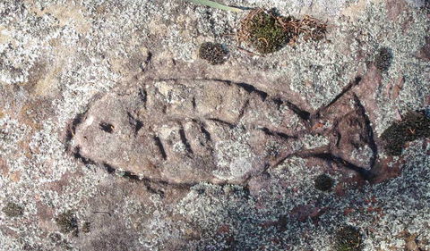 Terry Hie Hie Aboriginal Area - Winery Find 3