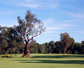 Corowa Golf Club - Winery Find 5