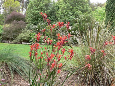 Timandra By The Sea - Winery Find 11