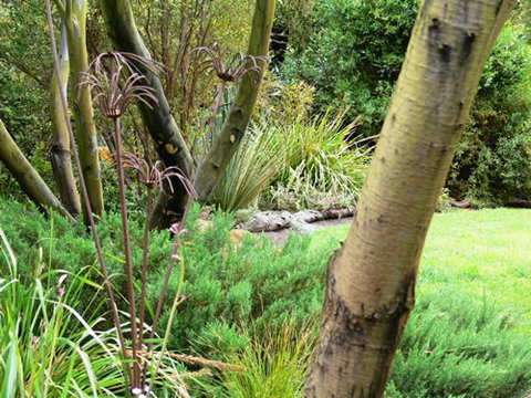 Timandra By The Sea - Winery Find 12