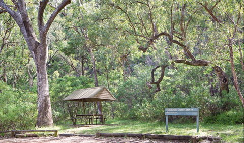Green Camp - Winery Find 1