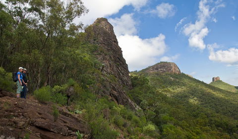 Yulludunida Walking Track - Winery Find 1