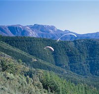 Buffalo Brewery - Winery Find