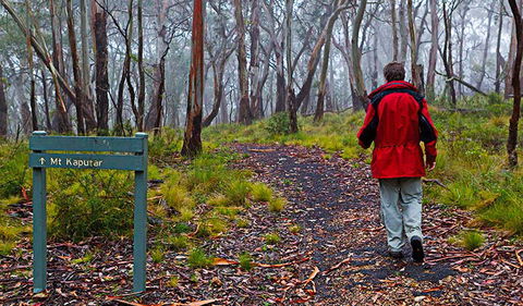 Mount Kaputar Summit Walk - Winery Find 2