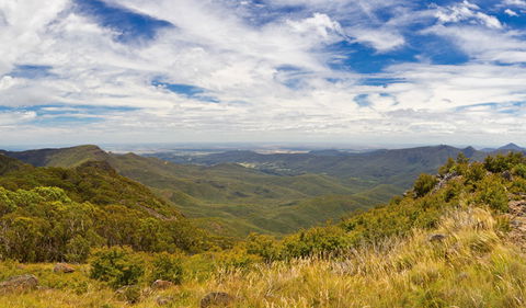 Mount Kaputar Summit Walk - Winery Find 3