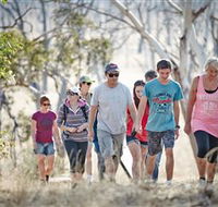 Winton Wetlands Reserve - Winery Find