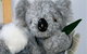 Timboon Toybox - thumb 1