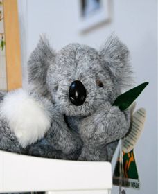 Timboon Toybox - Winery Find 1