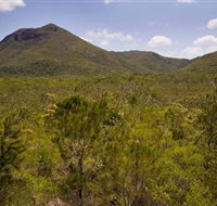 Kutini-Payamu Iron Range National Park CYPAL - Winery Find