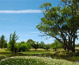 Burrumbuttock ACT Winery Find