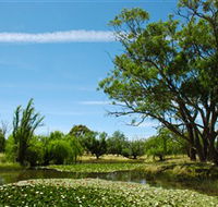Wirraminna Environmental Education Centre - Winery Find