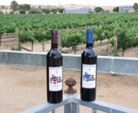 Eunanoreenya NSW Winery Find