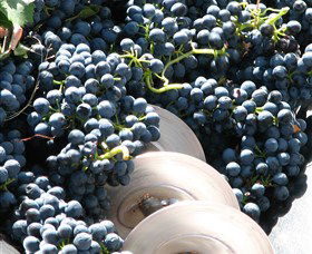 Orange Mountain Wines - Winery Find 2