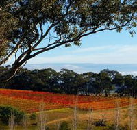 Bloodwood Estate - Winery Find