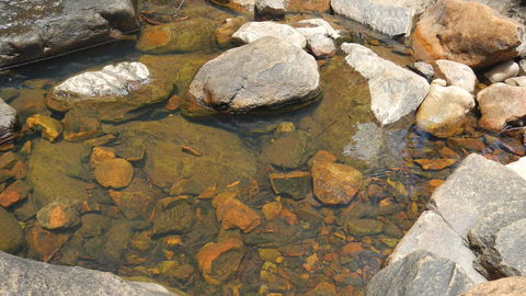 Mount Canobolas State Conservation Area - Winery Find 2