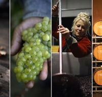 Ross Hill Wines - Winery Find