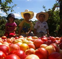 Bonny Glen Fruits - Winery Find