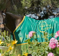 Living Legends The International Home of Rest for Champion Horses - Winery Find