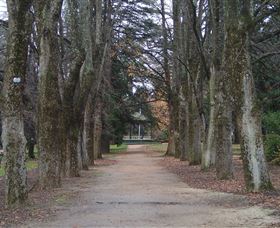 Cook Park - Winery Find 3