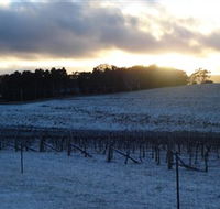 Charles Sturt University Winery - Winery Find