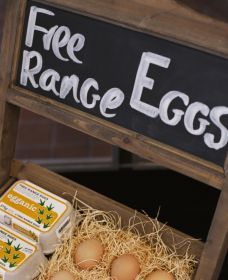 A Slice Of Orange - Winery Find 1