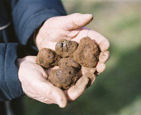 A Slice Of Orange - Winery Find 0