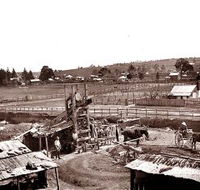 East Orange Heritage Trail - Winery Find