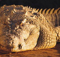 Koorana Crocodile Farm - Winery Find