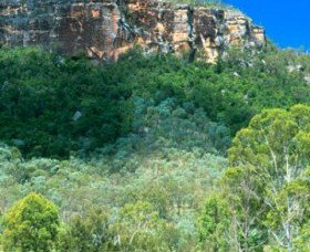 Cania Gorge National Park - Winery Find 1