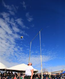 Amulet Vineyard And Beechworth Cider - Winery Find 6