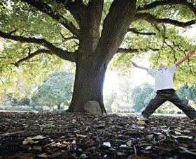 Albury Botanic Gardens - Winery Find 1