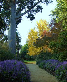 Albury Botanic Gardens - Winery Find 4